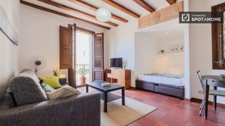 Alquiler Piso en Vila de Gràcia. Estudio en alquiler en el camp den grassot, barcelona