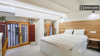 Alquiler Piso en Raval. Estudio en alquiler en el raval, barcelona