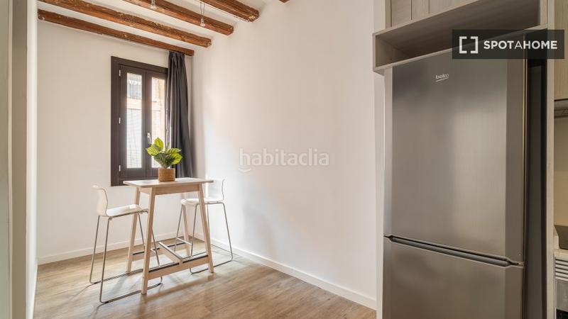 Foto 673d055d-fb1f-4bbc-9766-c1924df645e8. Alquiler piso estudio en alquiler en el Raval, en Barcelona