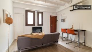 Alquiler Piso en Raval. Estudio en alquiler en el raval, barcelona