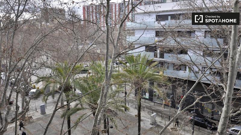Foto 67ced1ea-bc2a-44c8-bd87-6616855f24b1. Alquiler piso apartamento de 1 dormitorio en alquiler en sant andreu, en Barcelona