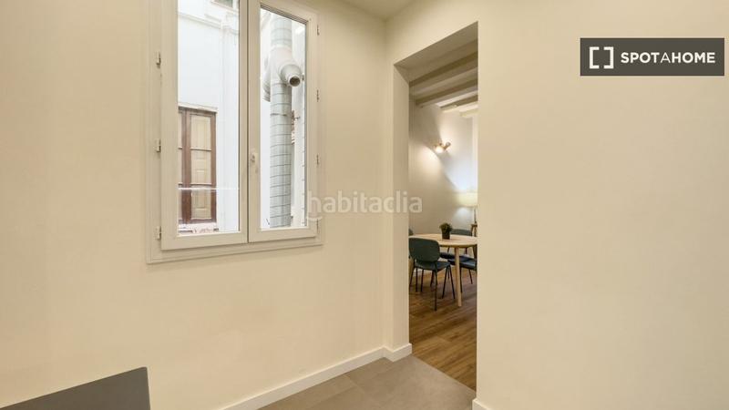 Foto 0c1c2019-9635-4103-a466-72051dba4ff2. Alquiler piso  en alquiler en el Raval, en Raval Barcelona