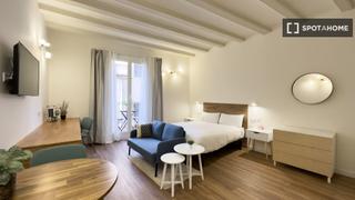 Affitto Appartamento in Raval. Estudio en alquiler en el raval, barcelona