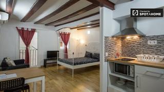 Miete Etagenwohnung in Raval. Estudio en alquiler en el raval, barcelona