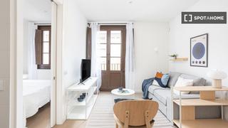Rent Flat in Raval. Estudio en alquiler en el raval, barcelona
