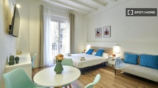 Lloguer Pis a Raval. Apartamento de 1 dormitorio en alquiler en el raval, barcelona