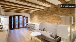 Alquiler Piso en Raval. Estudio en alquiler en el poble sec, barcelona.