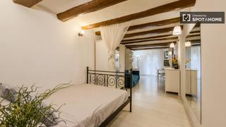 Location Appartement à Raval. Estudio en alquiler en el raval, barcelona