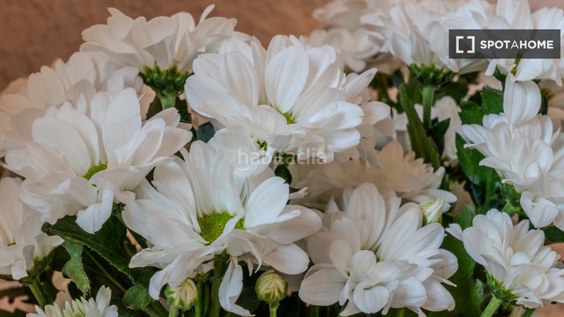 Foto 99db4a90-13e2-46ac-b0be-cbc121d5ae7f. Lloguer pis amb calefacció a L´Antiga Esquerra de l´Eixample Barcelona