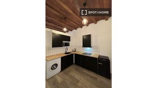 Rent Flat in St. Pere - Sta. Caterina - El Born. Estudio en alquiler en sant pere santa caterina, barcelona.