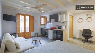 Lloguer Pis a Raval. Estudio en alquiler en el raval, barcelona
