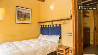 Lloguer Pis a Raval. Excelente apartamento de 2 dormitorios en el raval, barcelona.