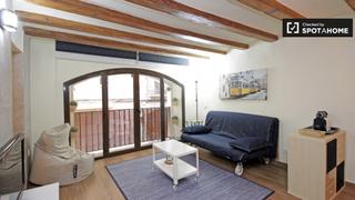 Alquiler Piso en Raval. Bijou estudio en alquiler en el raval