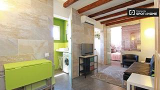 Lloguer Pis a Raval. Moderno apartamento de 1 dormitorio en alquiler en el raval, bar