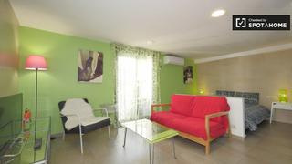 Rent Flat in Raval. Bonito estudio en el vibrante el raval, barcelona.