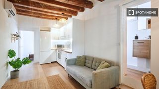 Flat in Raval
