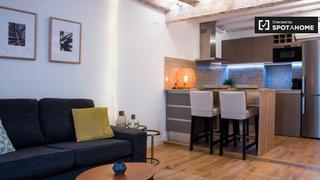 Lloguer Pis a Raval. Apartamento de lujo de 2 dormitorios en alquiler en el raval, ba