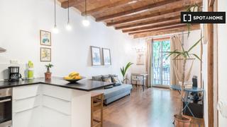 Rent Flat in El Poble Sec - Parc de Montjuïc. Piso en alquiler en el poble sec, barcelona