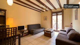 Lloguer Pis a St. Pere - Sta. Caterina - El Born. Apartamento de 1 dormitorio en alquiler en el barri gotic, barce