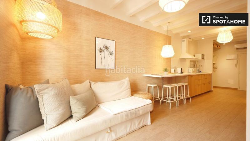 Foto 923da143-a556-47d6-83c6-81ad4b1f8e17. Alquiler piso estupendo apartamento de 2 dormitorios en alquiler en barri Gòtic en Barcelona