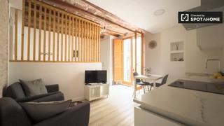Location Appartement à Raval. Piso de 1 dormitorio en alquiler en el raval, barcelona.