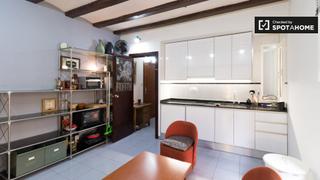 Alquiler Piso en Barceloneta. Estudio en alquiler en la barceloneta, barcelona