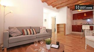 Alquiler Piso en Raval. Estudio en alquiler en el raval, barcelona