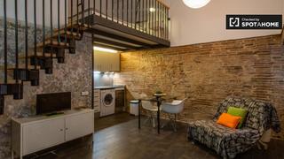Location Appartement à Raval. Fantástico estudio en alquiler en el raval, barcelona