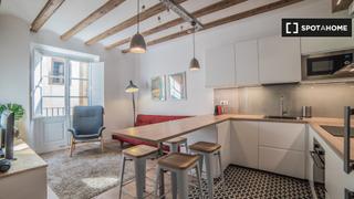 Alquiler Piso en St. Pere - Sta. Caterina - El Born. Piso de 2 dormitorios en alquiler en barcelona, barcelona