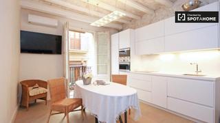 Lloguer Pis a Gòtic. Único apartamento de 1 dormitorio en alquiler  barri gòtic, barc