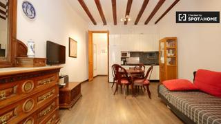 Location Appartement à St. Pere - Sta. Caterina - El Born. Acogedor apartamento de 1 dormitorio en alquiler en el born, bar