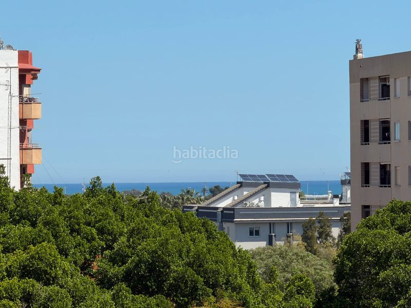 Foto c293cbb5-3702-478d-8ff1-29e02330f5c4. Pis a Corea Gandia