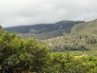 Finca rústica a Simat diseminado 222. Terreno agrícola en simat de la valldigna con montaña propia y n