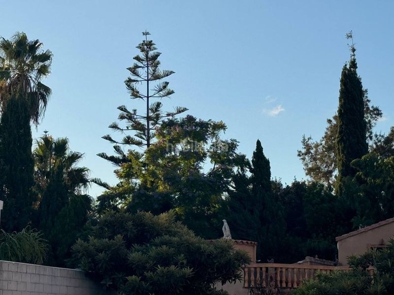 Foto e00c5b9e-4246-49dd-a9b0-1ef9593615b2. Xalet amb aparcament a Palmera