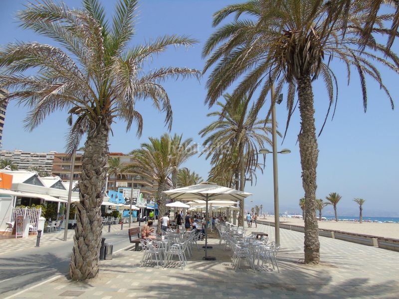 Foto 9f80e018-48c9-4e80-a8e4-c22393c93a24. Pis a Playa de San Juan Alicante