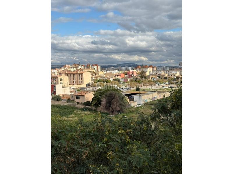 Foto a11820ef-696d-4d0e-9060-9d6b9063521e. Appartamento in Polígon de Llevant Palma de Mallorca