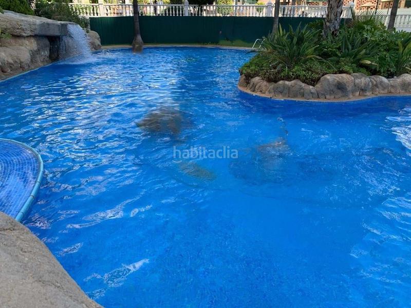 Foto 6e9fd9a5-4d2e-40f1-9547-9cff9fef379b. Piccolo appartamento con riscaldamento piscina in Vila Joiosa (la)
