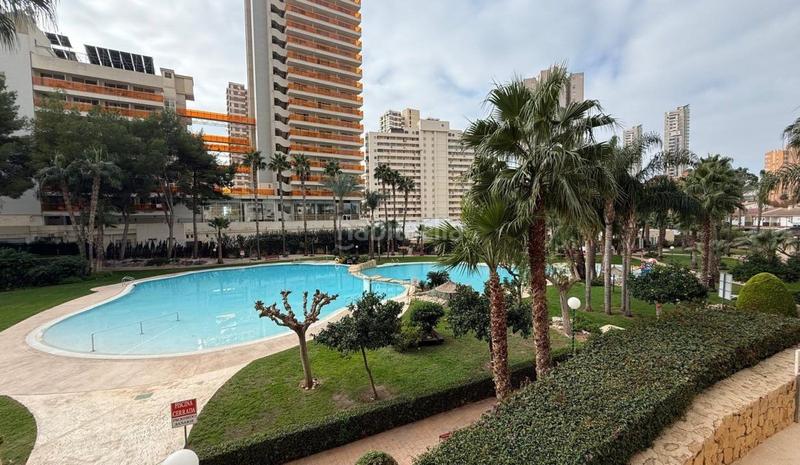 Foto a44d2de7-3ce9-4391-a8c3-2a9f7fa04acb. Appartement mit heizung pool in Rincón Bajo Benidorm
