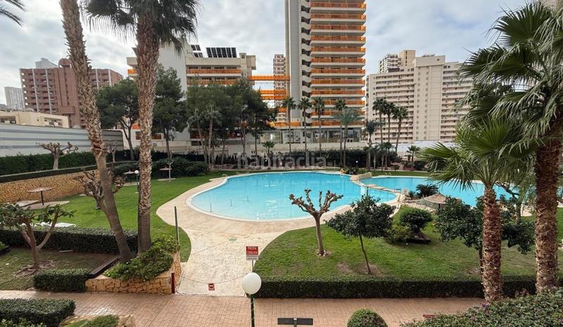 Foto a8791ac5-ad5d-4557-9a99-0ae6a5b409a3. Appartement mit heizung pool in Rincón Bajo Benidorm