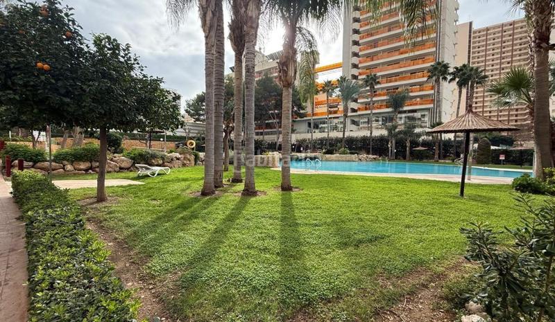 Foto bdd9e3a8-9dae-493b-b8a3-2b82e7f66da6. Appartement mit heizung pool in Rincón Bajo Benidorm