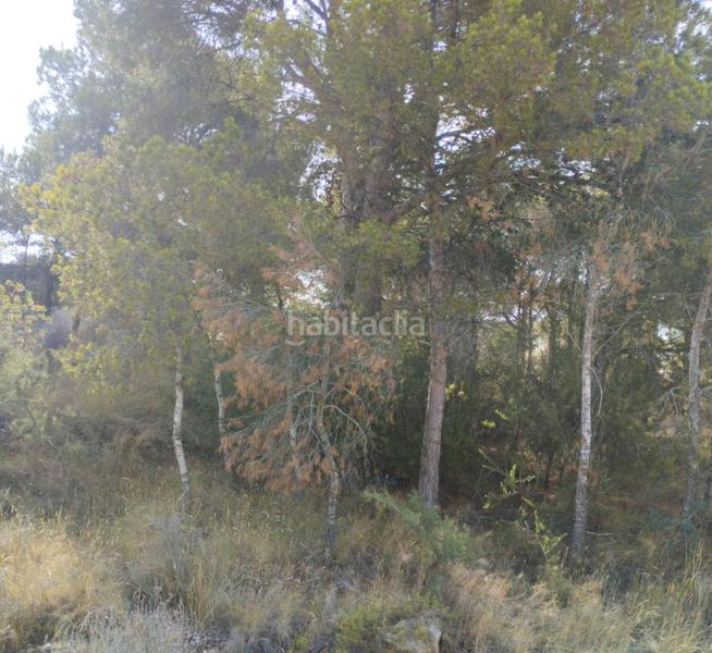 Foto 090b836c-42b6-423c-8851-3ea3480e45b2. Residential plot in Golf Bahía Finestrat