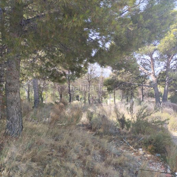 Foto 5a9f1cd2-160a-4c2a-8943-fc4945d723fa. Residential plot in Golf Bahía Finestrat