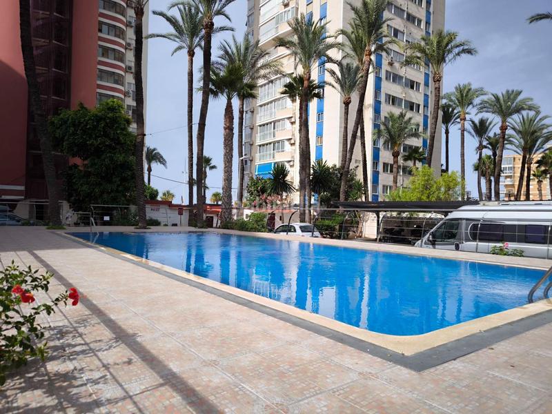 Foto 81734593-a11d-4426-aa03-abb59a69b472. Piccolo appartamento con riscaldamento piscina in Benidorm