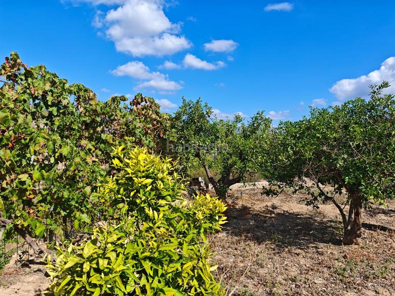 Foto c69b2df3-2d68-4529-a1f0-25103ebc9ad5. Terreno residencial en La Nucia Pueblo Nucia (la)