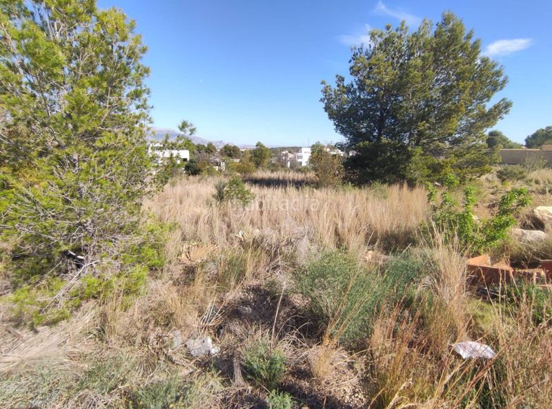 Foto c4b048a6-565d-421b-afd0-129e6c34284c. Terreny residencial a La Alberca Polop