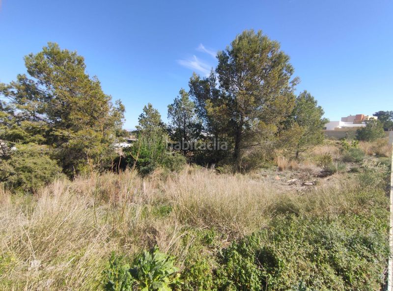 Foto d84463eb-6d75-41b2-a283-34c4a00a354d. Terreny residencial a La Alberca Polop