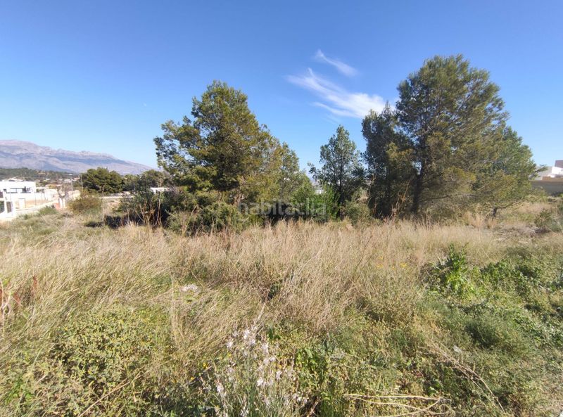Foto d984c62d-6929-41c6-b442-a54960a3ba66. Terreny residencial a La Alberca Polop