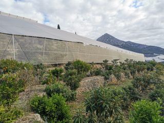 Fondo rustico in Cv-755 45