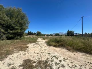 Landgut in Camí del sarandó 28