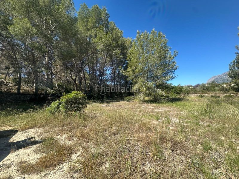 Foto 3dfdf378-3d59-462c-b656-b01fb49cc30c. Finca rústica a camí del sarandó 28 a Pueblo-Ubanizaciones Alfàs del Pi (l´)